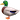 ??
