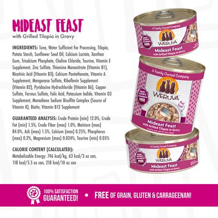 Mideast Feast