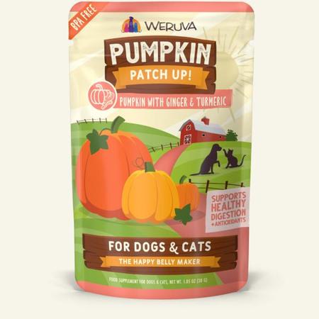 Pumpkin Patch Up! Pumpkin Supplement with Ginger & Turmeric