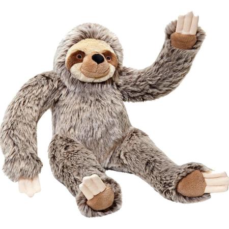 Tico Sloth