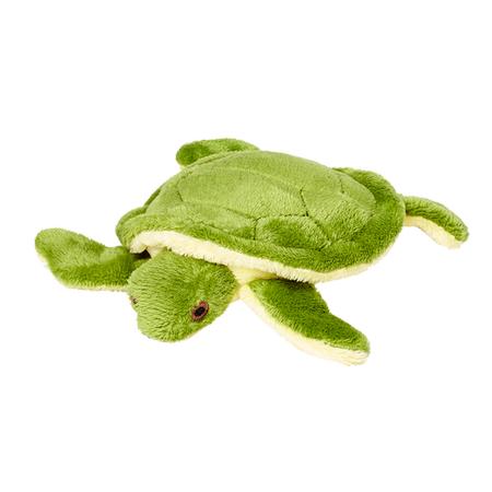 Shelly Turtle