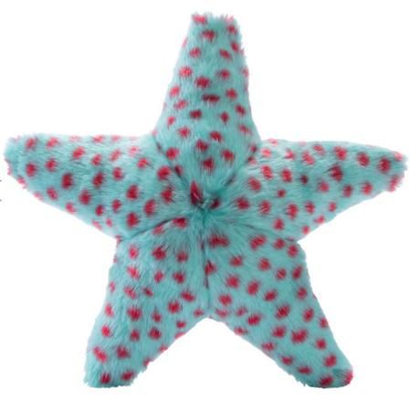 Ally Starfish