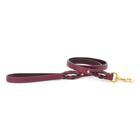 Burgundy Braided Leash with Brass Hardware