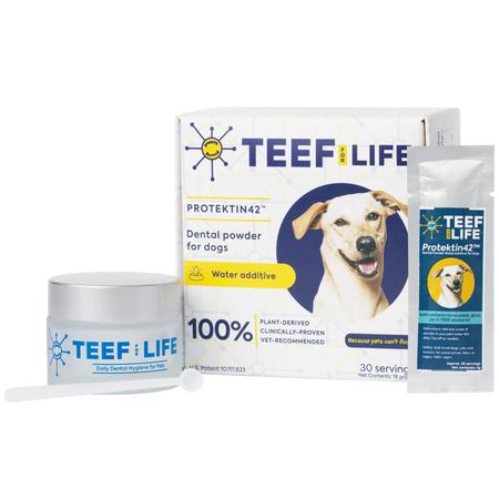 TEEF for Life - Protektin42 Dog Dental Kit