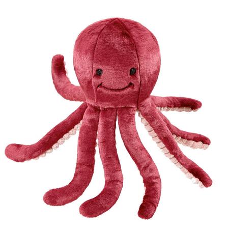Olympia Octopus