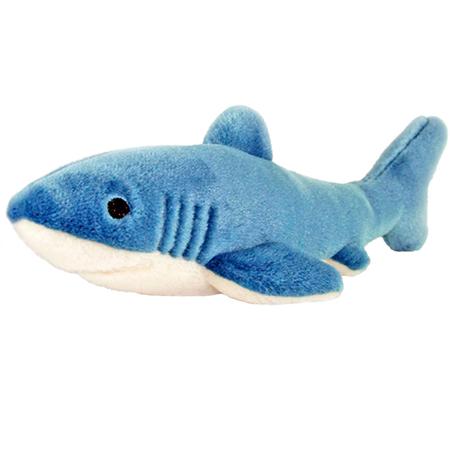 Tank the Shark