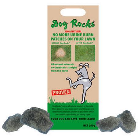 Dog Rocks