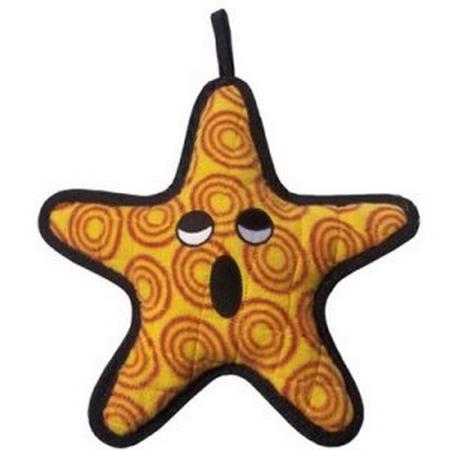 The General the Starfish