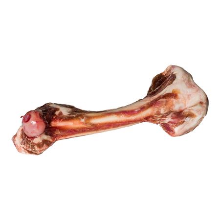 Tuck Lamb Single