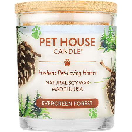 Evergreen Forest Large Candle