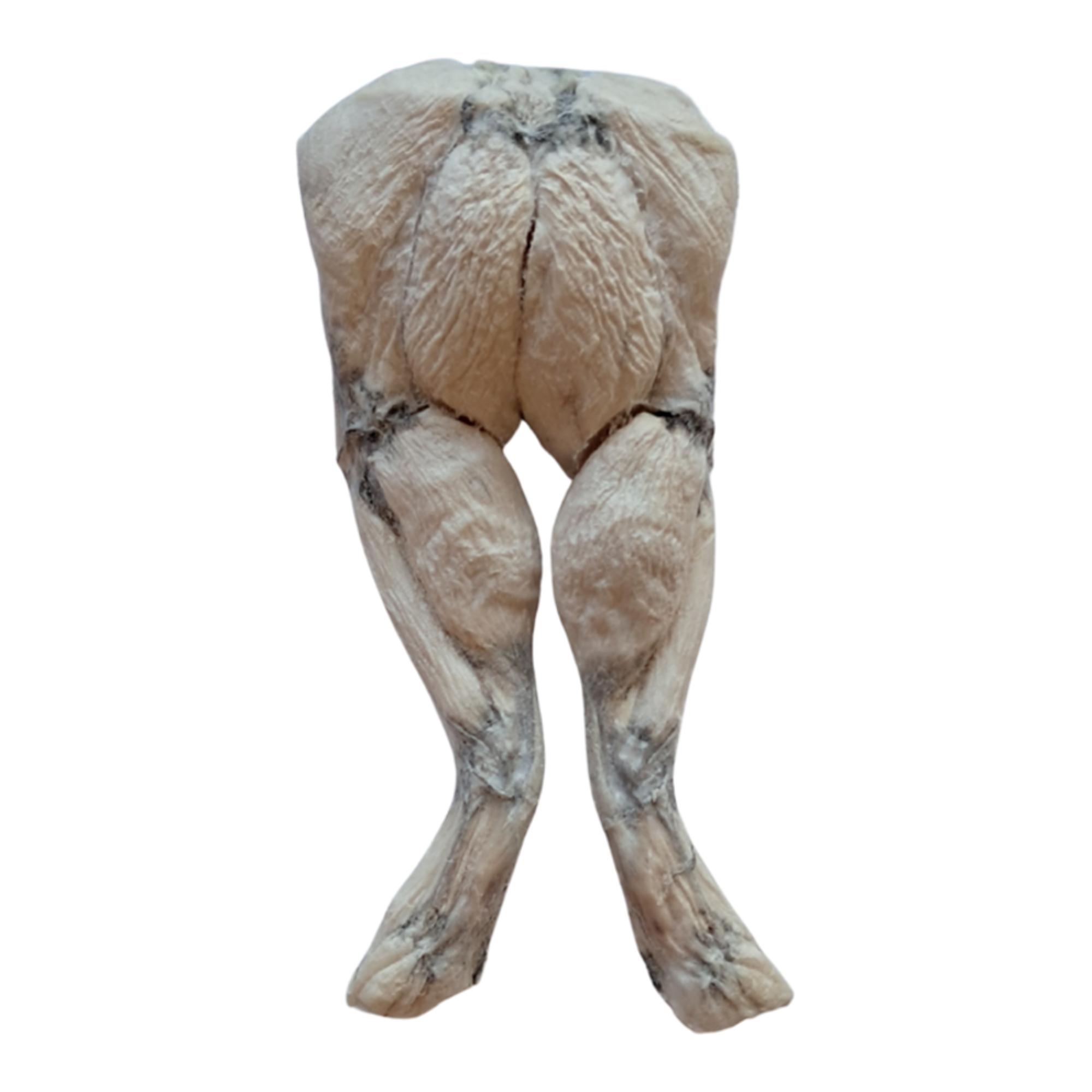 Freeze-Dried Frog Legs