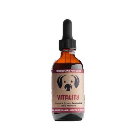 Vitality -Immune System Support