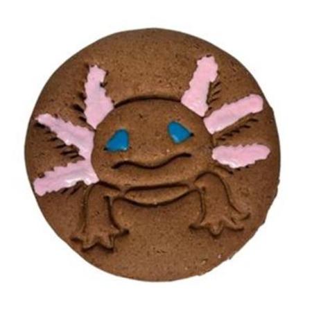 Axolotl