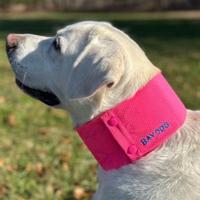 Arctic Bay Cooling Dog Collar (Item #850053133848)