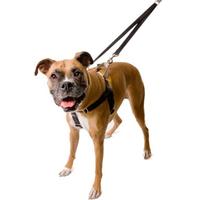 Black Freedom No-Pull Harness (Item #818557021689)