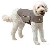 Grey Thundershirt (Item #819505013220)