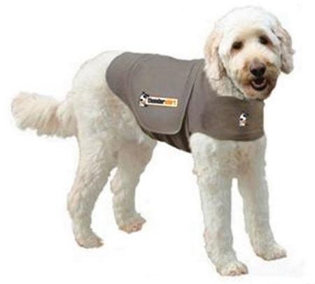 Grey Thundershirt