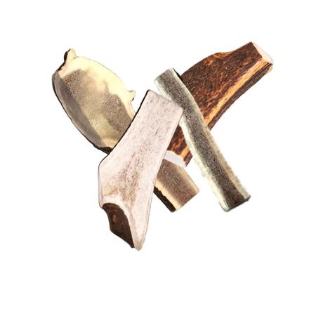 Deer Antler Whole Lg