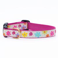 Spring Fever Dog Collar (Item #707435766432)