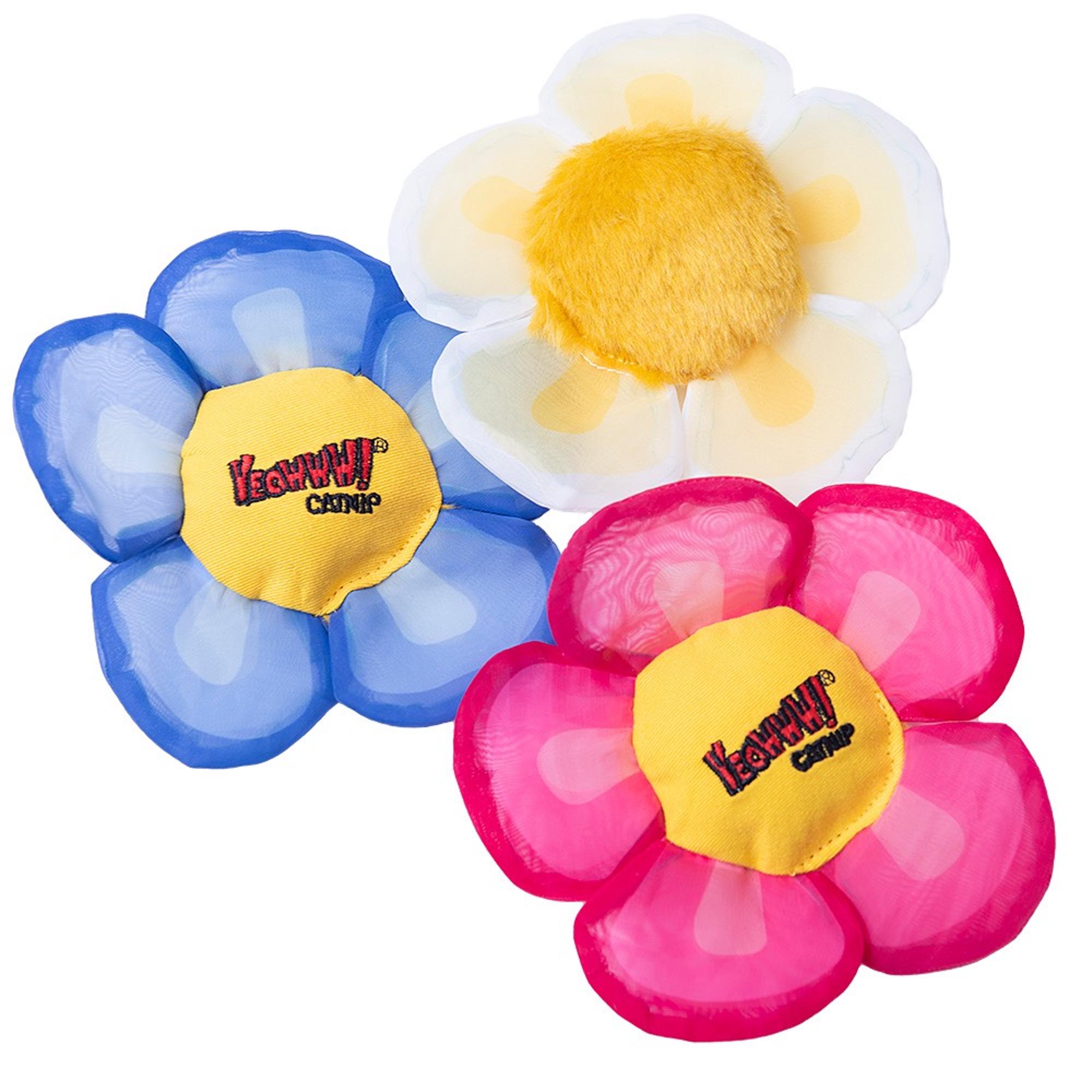 Yeowww! Daisy Flower 