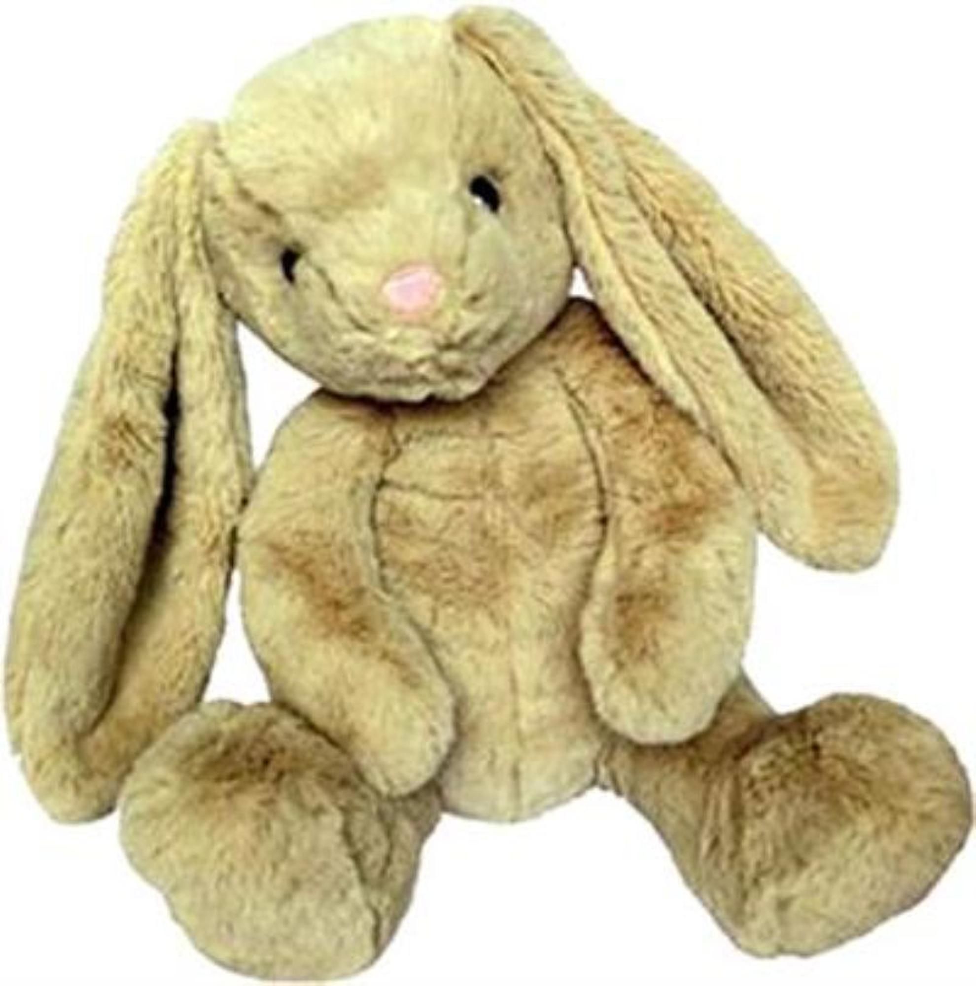 Brown Bunny - 15