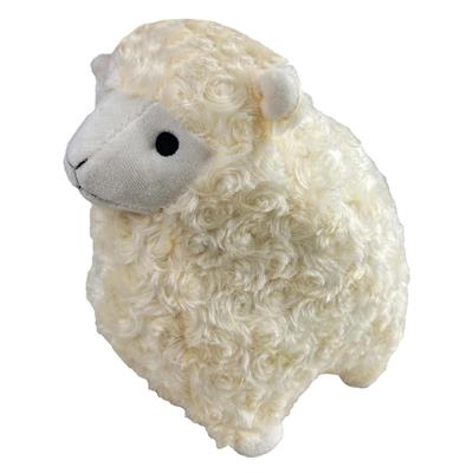 Lamb 10
