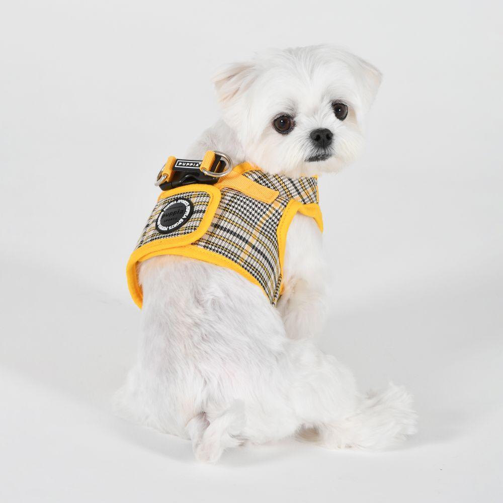 Lucas Harness B - Yellow (Item #8809867369235)