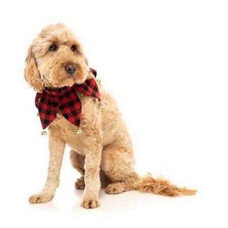 Jester Collar L/xl