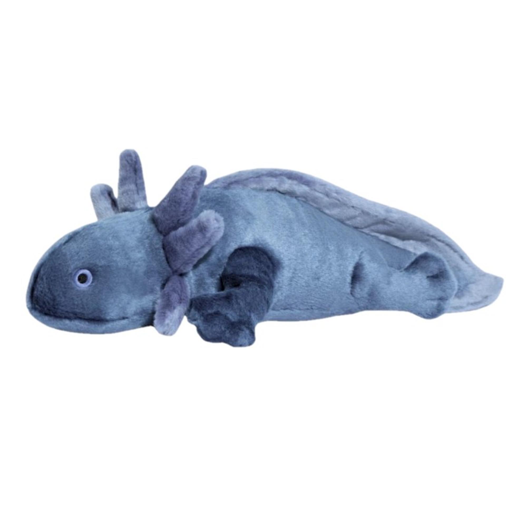 Millie Axolotl