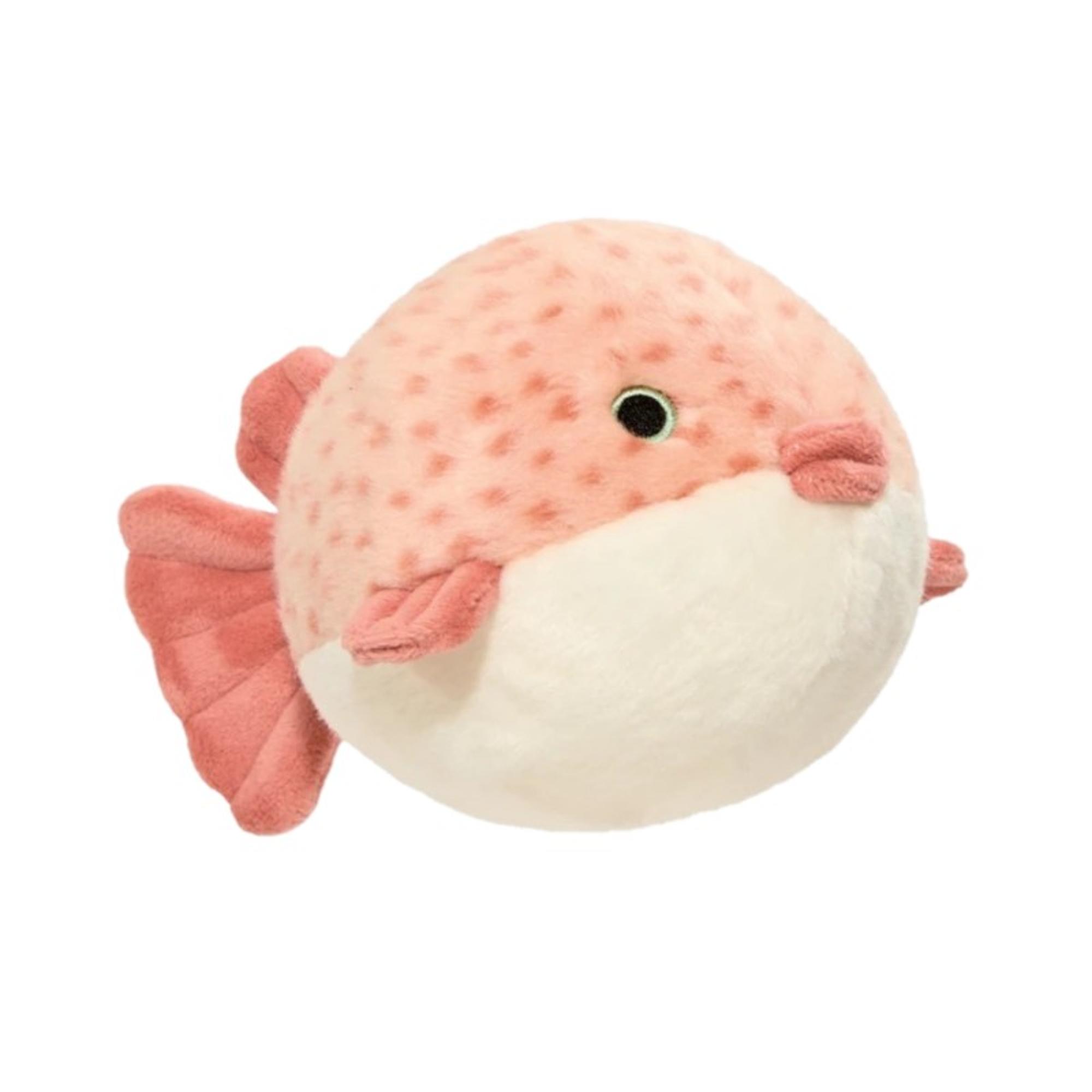 Dottie Puffer Fish