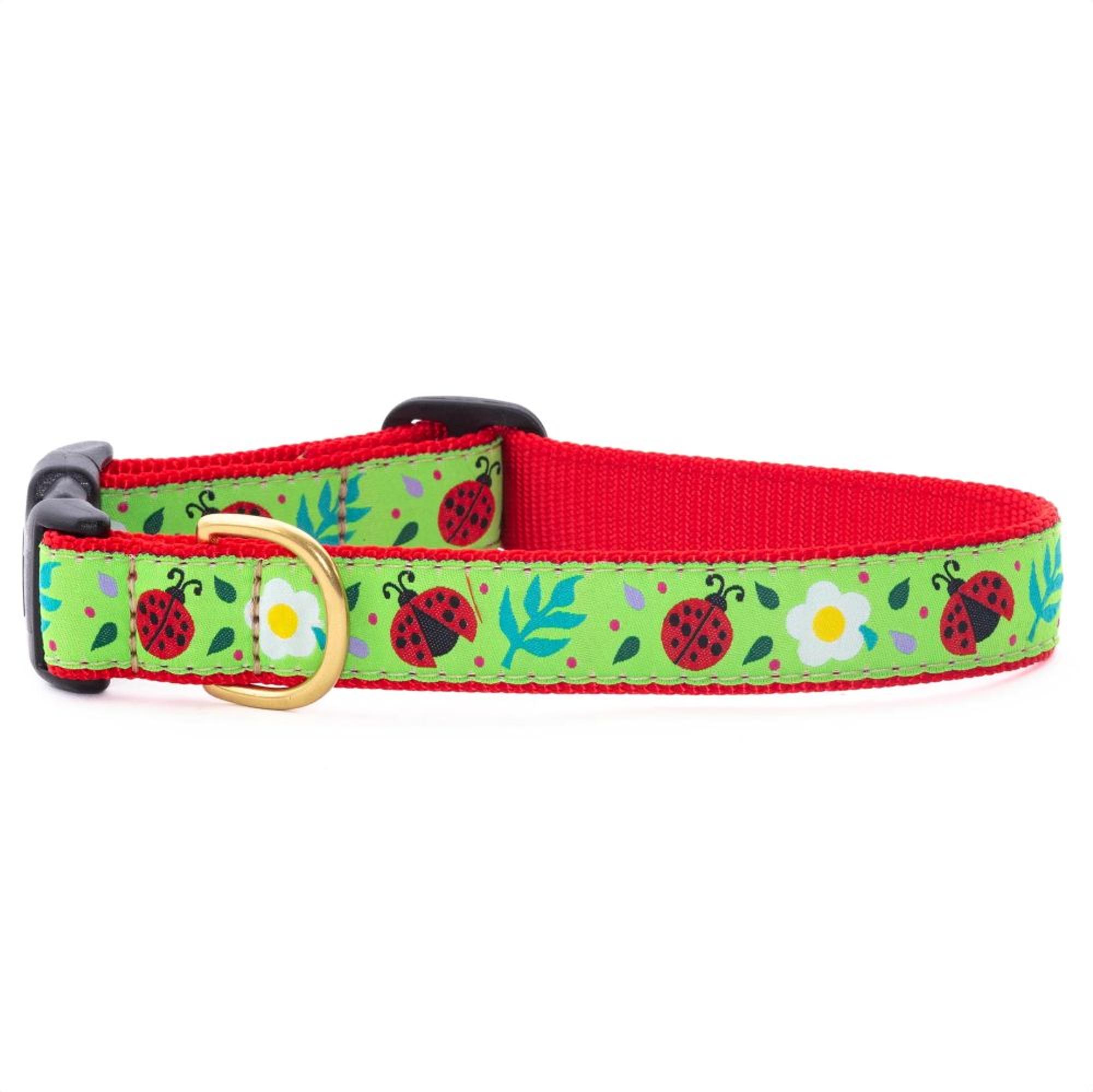 Ladybugs Style