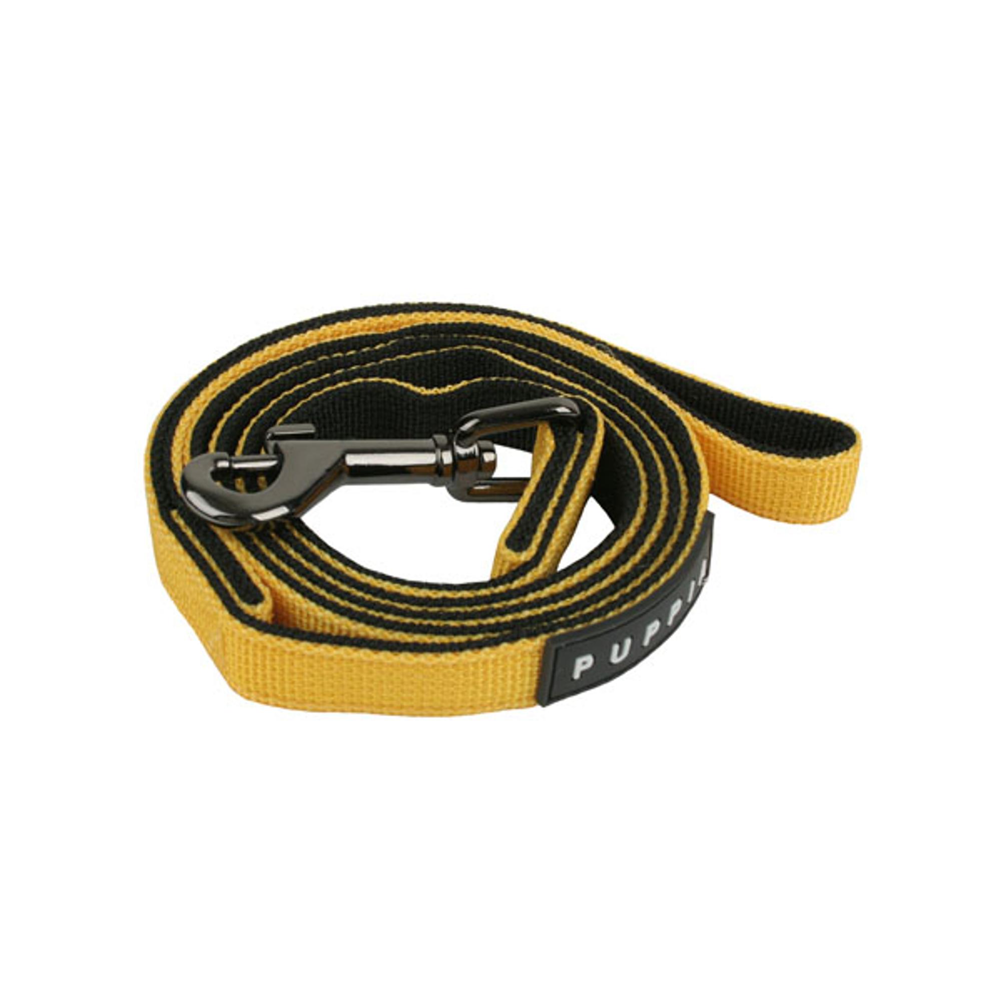 Two Tone Lead