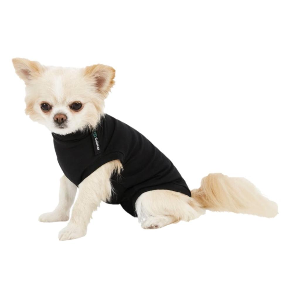 Recovery Suit for Dogs (Item #8718375253076)