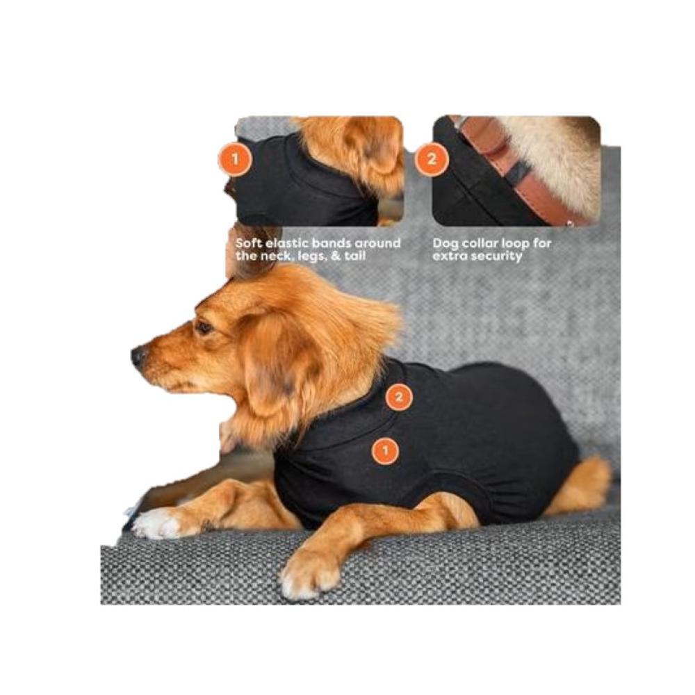 Recovery Suit for Dogs (Item #8718375253083)