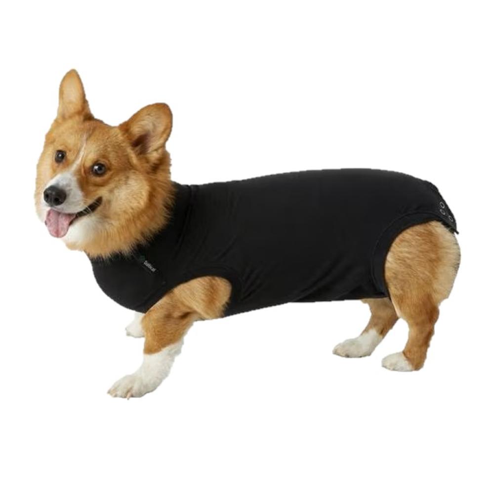 Recovery Suit for Dogs (Item #8718375253106)