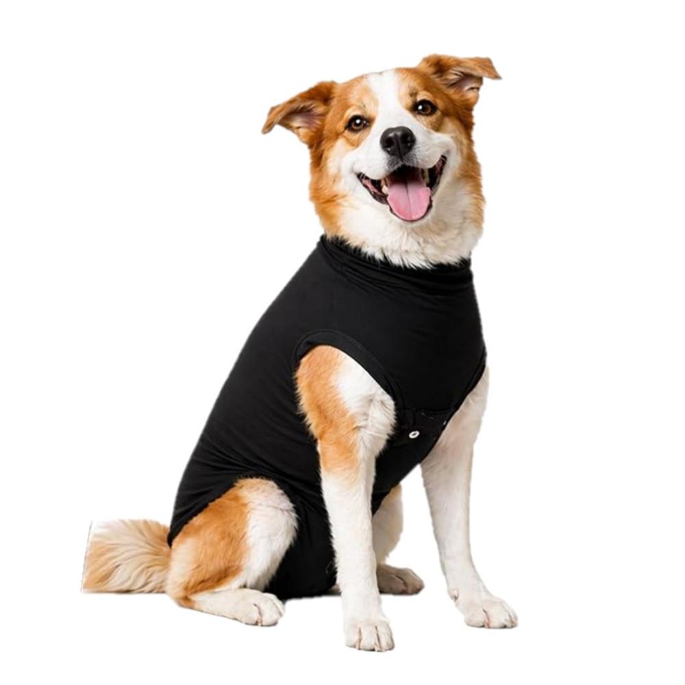 Recovery Suit for Dogs (Item #8718375253113)