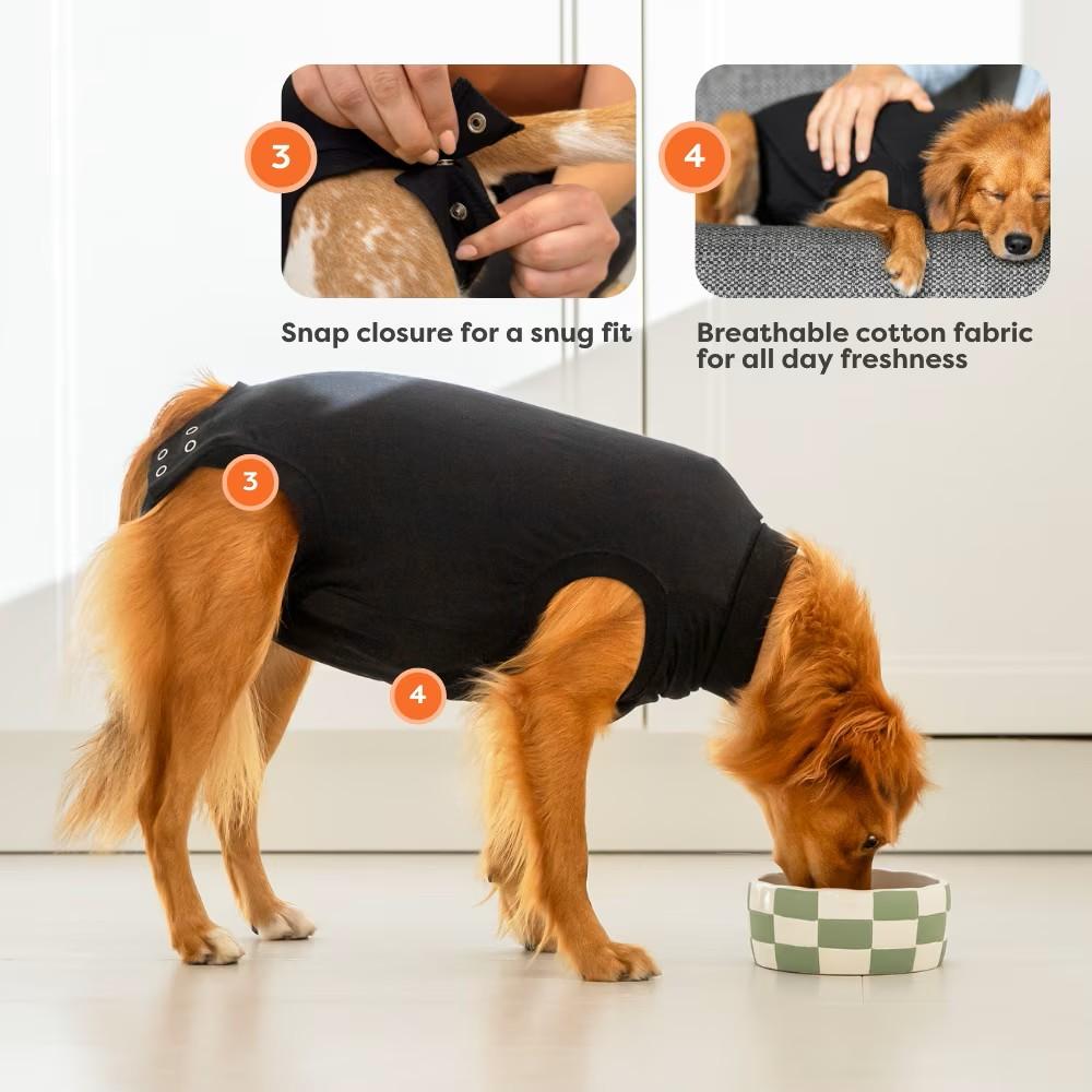 Recovery Suit for Dogs (Item #8718375253137)