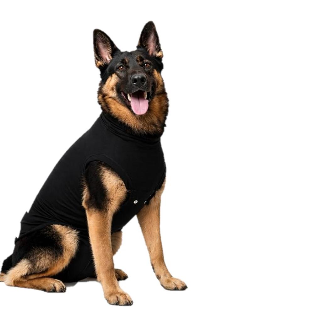 Recovery Suit for Dogs (Item #8718375253151)