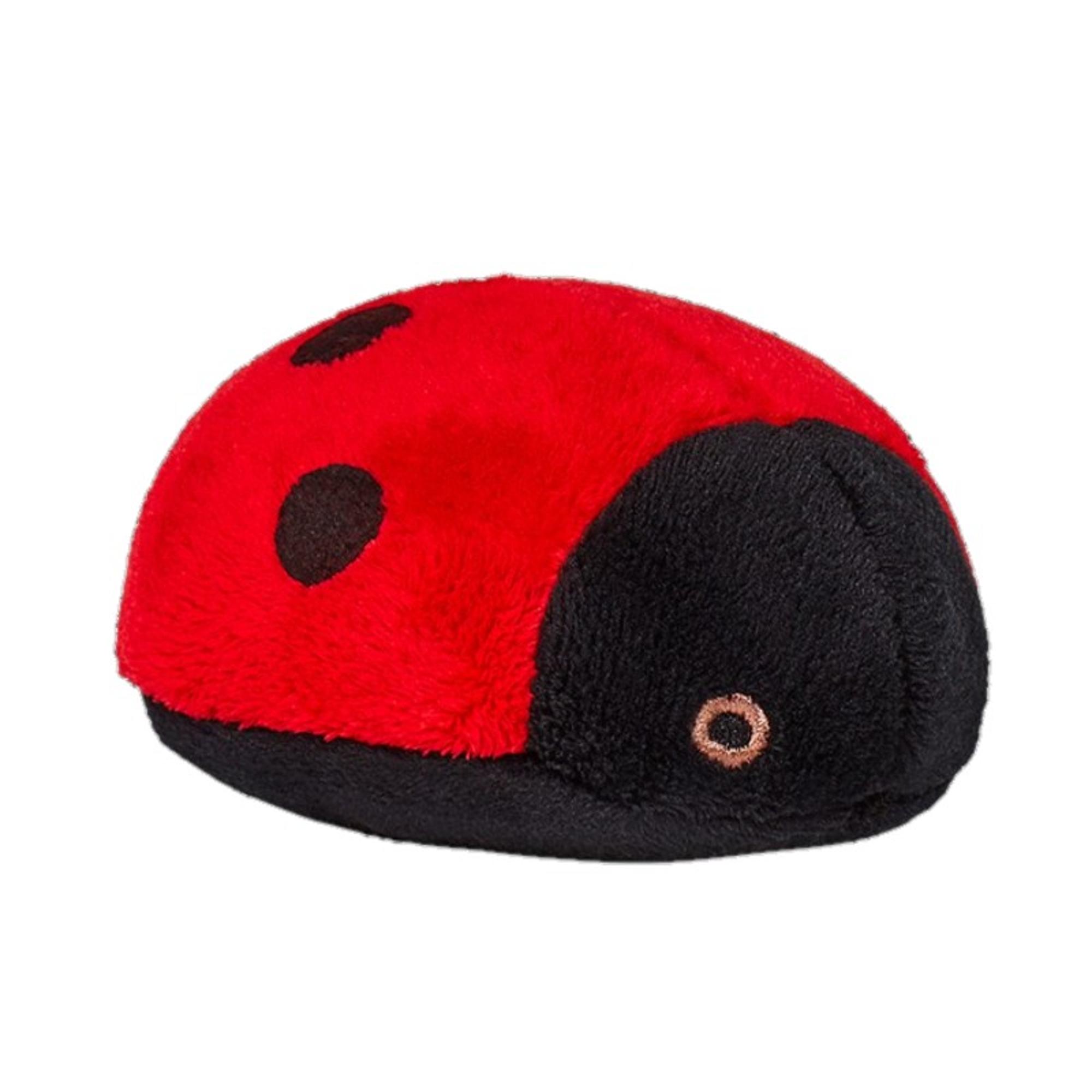 Lady Bug