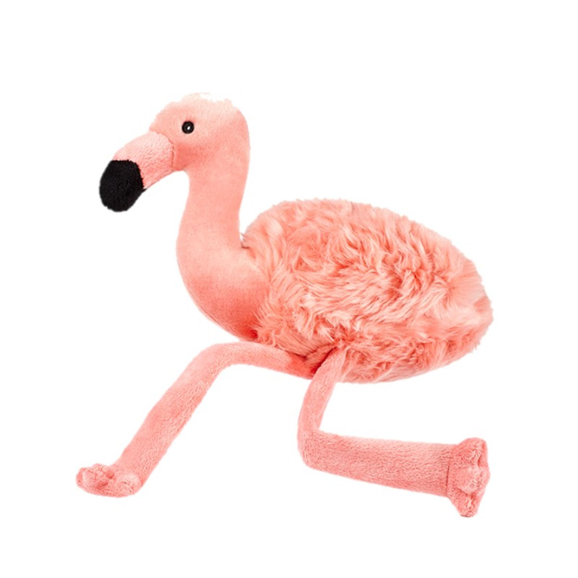 Lola Flamingo