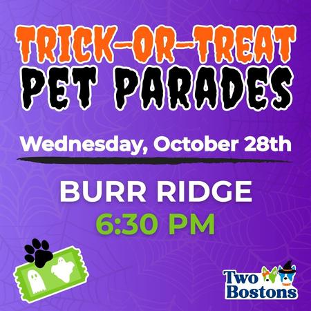 Two Bostons Halloween Pet Parade - Burr Ridge Ticket