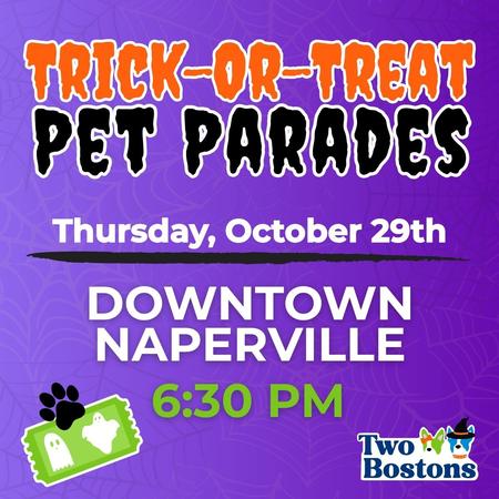 Two Bostons Halloween Pet Parade - Downtown Naperville 6:30