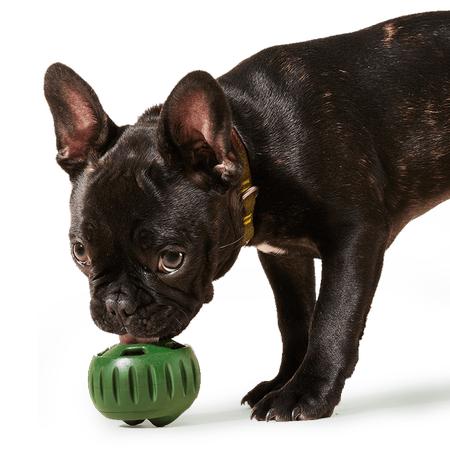 The Pupsicle -Forest Green